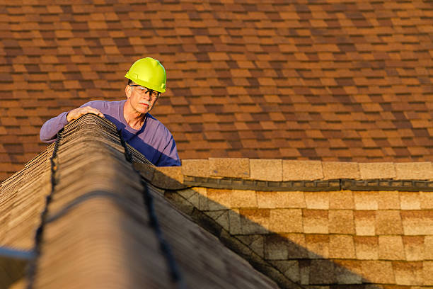 Best Roof Gutter Cleaning  in Grove City, PA