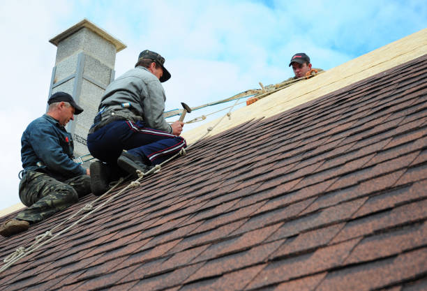 Best Metal Roofing Contractor  in Grove City, PA